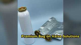 Sistemas de bolsa sobre válvula personalizados de primera calidad para envases de aerosoles de aluminio