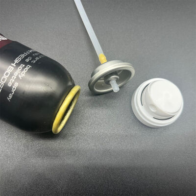 comprar Deodorant Body Spray Valve Providing a Comfortable, Even Application for Private Label Fabricación en línea